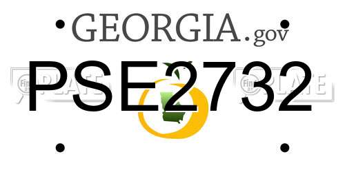 PSE2732 Georgia License Plate