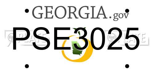 PSE3025 Georgia License Plate