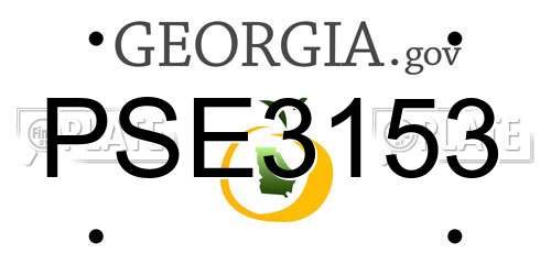 PSE3153 Georgia License Plate