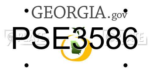 PSE3586 Georgia License Plate