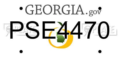 PSE4470 Georgia License Plate