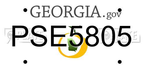 PSE5805 Georgia License Plate
