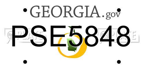 PSE5848 Georgia License Plate