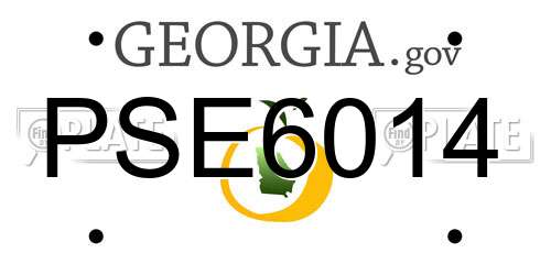 PSE6014 Georgia License Plate
