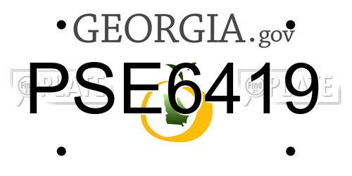 PSE6419 Georgia License Plate