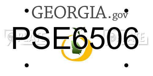 PSE6506 Georgia License Plate