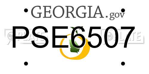 PSE6507 Georgia License Plate