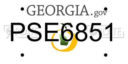 PSE6851 Georgia License Plate