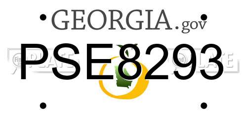 PSE8293 Georgia License Plate