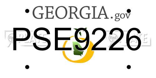 PSE9226 Georgia License Plate