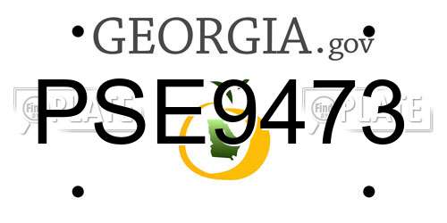 PSE9473 Georgia License Plate