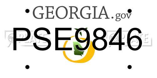 PSE9846 Georgia License Plate