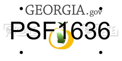 PSF1636 Georgia License Plate