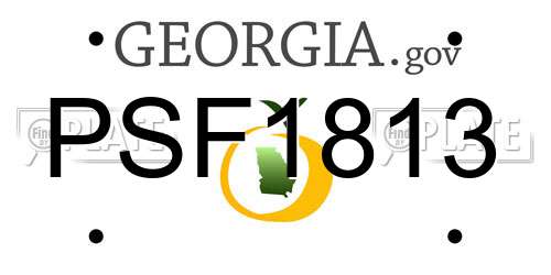 PSF1813 Georgia License Plate
