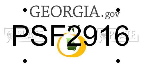 PSF2916 Georgia License Plate