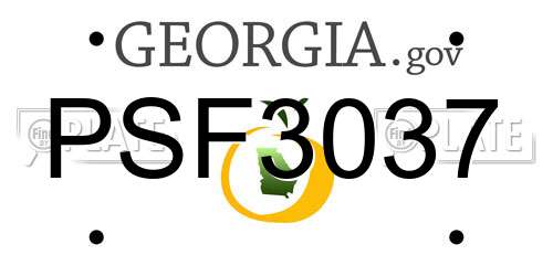 PSF3037 Georgia License Plate