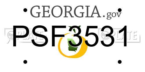 PSF3531 Georgia License Plate