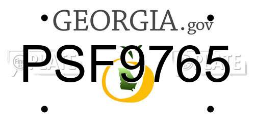 PSF9765 Georgia License Plate