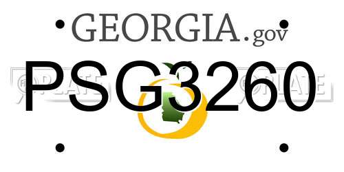 PSG3260 Georgia License Plate