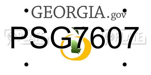 PSG7607 Georgia License Plate