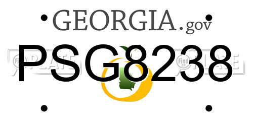 PSG8238 Georgia License Plate