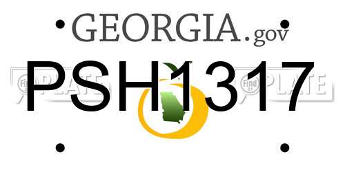 PSH1317 Georgia License Plate