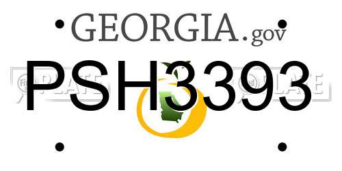 PSH3393 Georgia License Plate