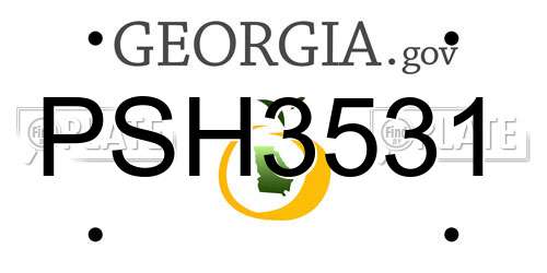 PSH3531 Georgia License Plate