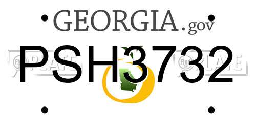 PSH3732 Georgia License Plate