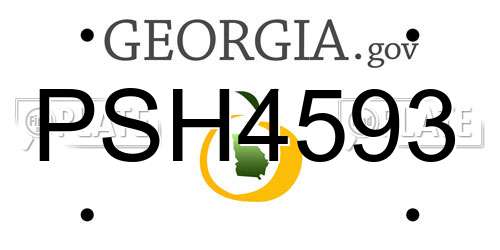 PSH4593 Georgia License Plate