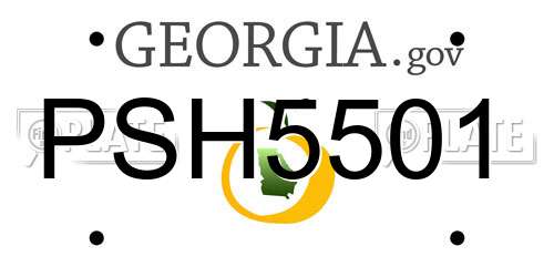 PSH5501 Georgia License Plate