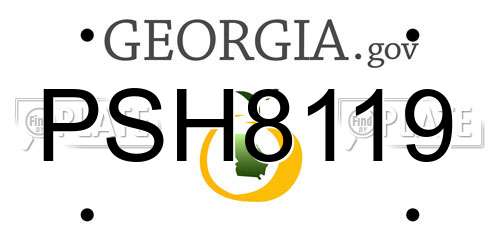 PSH8119 Georgia License Plate