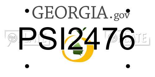 PSI2476 Georgia License Plate