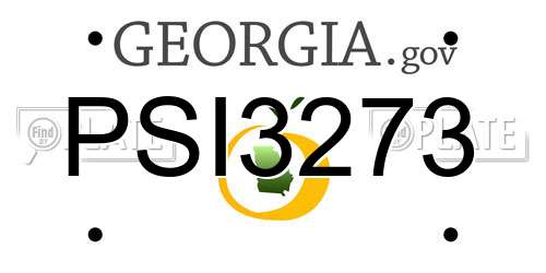 PSI3273 Georgia License Plate