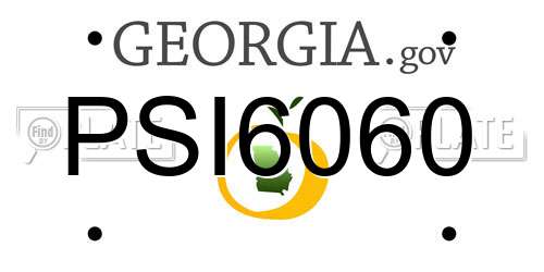 PSI6060 Georgia License Plate