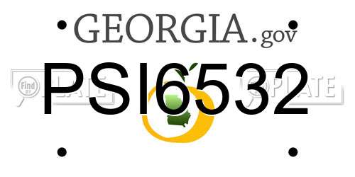 PSI6532 Georgia License Plate
