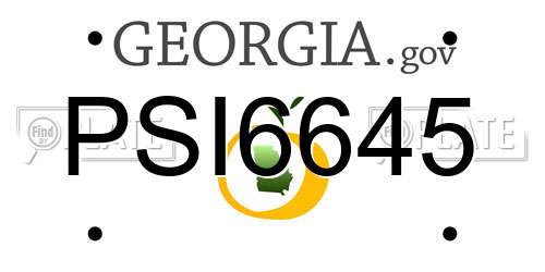 PSI6645 Georgia License Plate