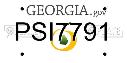 PSI7791 Georgia License Plate