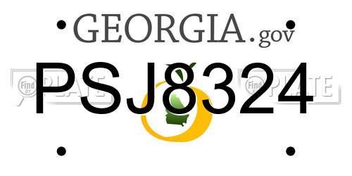 PSJ8324 Georgia License Plate