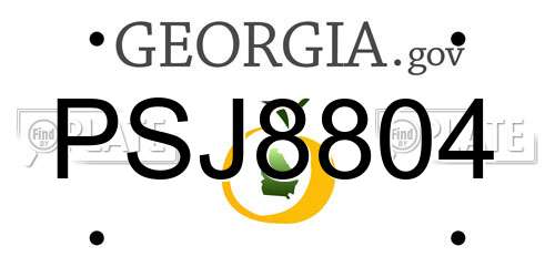 PSJ8804 Georgia License Plate