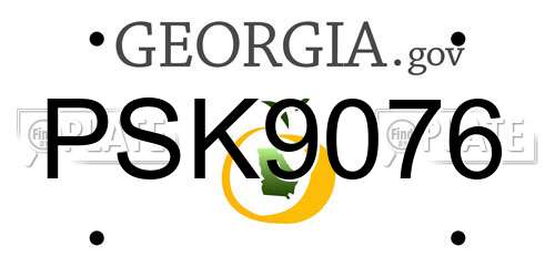 PSK9076 Georgia License Plate