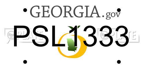 PSL1333 Georgia License Plate
