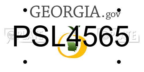 PSL4565 Georgia License Plate