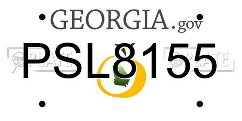 PSL8155 Georgia License Plate