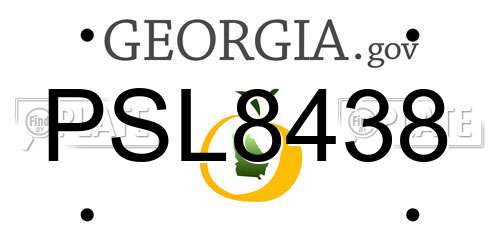 PSL8438 Georgia License Plate