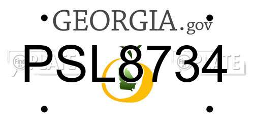 PSL8734 Georgia License Plate