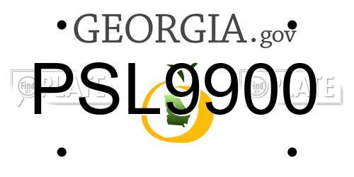 PSL9900 Georgia License Plate