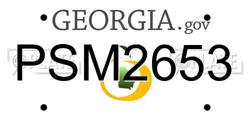 PSM2653 Georgia License Plate
