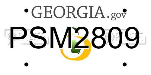 PSM2809 Georgia License Plate