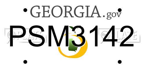 PSM3142 Georgia License Plate